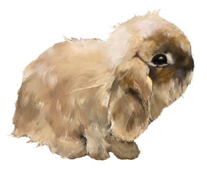 Thumper