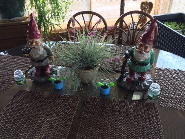 Summer Table Gnomes
