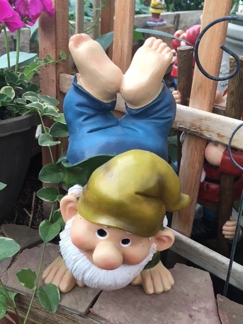HandstandHenry_Gnome