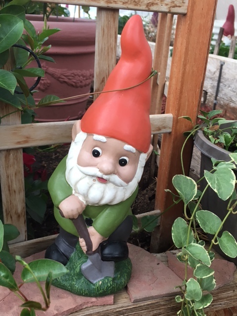 Ridley_Gnome_bktrellis