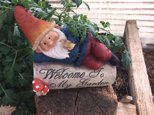 William_Welcome Gnome