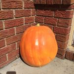 mr-pumpkin