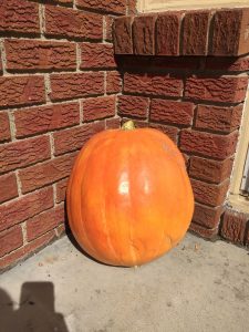 mr-pumpkin